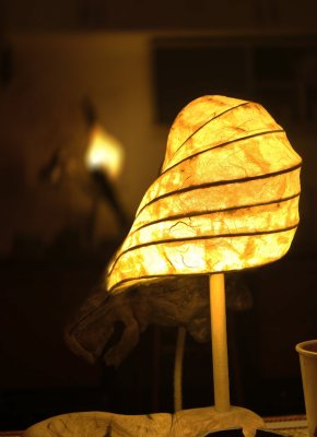 Seashell / light sculpture