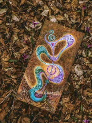 Oronia / Paper & Canvas Print